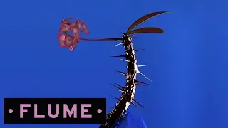 Flume - Fantastic feat. Dave Glass Animals