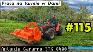 Praca na farmie w Danii #115 | Work on the farm in Denmark #115 Antonio Cararro STX 8400