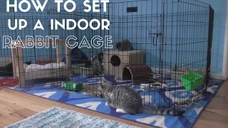 HOW TO Set Up A Indoor Rabbit Cage!