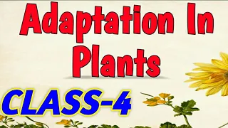 ADAPTATION IN PLANTS || Class 4