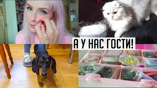 VLOG Домашний 🍁А у нас ГОСТИ 🐶 Проблемы с Колтунами у Кошки 😱 Плету украшения как на Пинтерест 😍