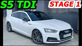 Audi S5 B9 Diesel 3.0TDI 347HP STAGE 1 GREGOR10 ChipTuning PROBLEM -Longlife zabrał MOC !