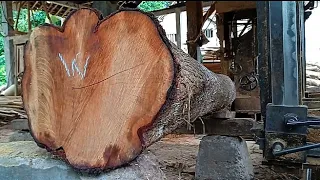 Acacia wood is SUPER hard and long || ASMR sawmill.