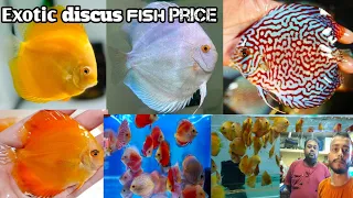 Discus royal in KOLKATA | Discus fish price | Discus fish farm | Hindi