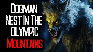 Hiker WARNS: "Dogman Nest In The OLYMPIC Mountains"