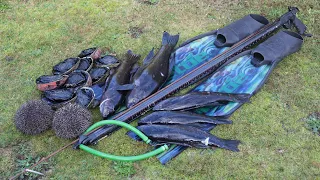 New Zealand Spearfishing - Bluff  (Catch and cook)