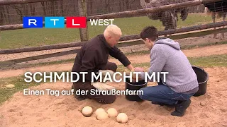 Schmidt macht mit: Einen Tag auf der Straußenfarm | RTL WEST