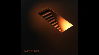 pH-1 - MR. BAD (Feat. 우원재) 1시간 반복