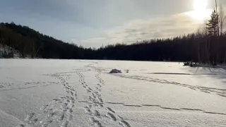 РЫБАЛКА НА ОКУНЯ. БЕШЕНЫЙ КЛЁВ НА ГОЛЫЙ КРЮЧОК.