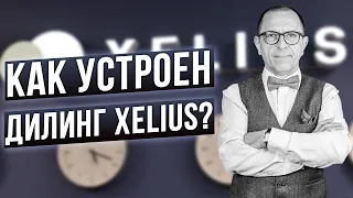 Дилинг XELIUS изнутри: эпицентр грамотной торговли! Обзор жизни дилинга - Алексей Шеф по дилингу