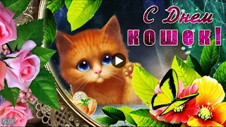 😺 🐱🐾С днем Кошек cat Day Международный день кошек прикольные поздравления Красивая видео открытка 🐱🐾