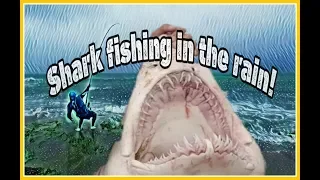 ZLF Catching a Ragged Tooth Shark(Sand Tiger) in a storm!