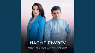 Си нэ дахэ