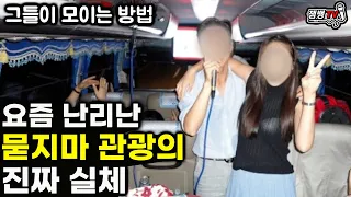 듣고도 믿기힘든 묻지마 관광의 실체와 관광버스기사가 극한직업인 이유