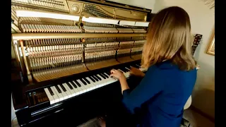 Linda Seeley Solo Piano The piano is tuned! Fur Elise Fun combined with Maple Leaf Rag.