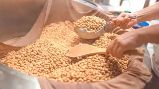 [precious video] Making the Best Traditional Natto by Young Master in Japan!