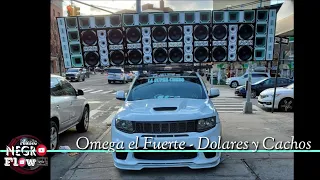 Omega El Fuerte - Dolares y Cachos Merengue En Vivo ( Excelente Calidad ) Tema Para musicologo