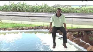 SAA - Revista Casas da Agricultura - Uso racional da água na irrigação - São Simão
