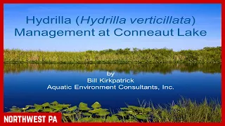 Get To Know Conneaut Lake "Hydrilla Management"