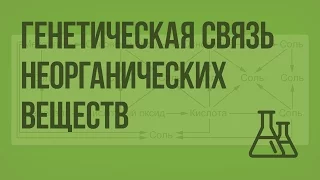 Генетическая связь между классами неорганических веществ. Видеоурок по химии 8 класс