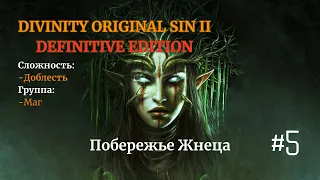 Divinity: Original Sin II [ DE ]. Соло. Сложность: Доблесть. #5