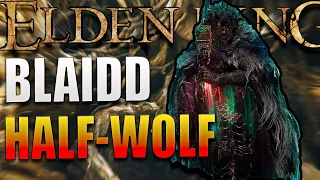 Malenia VS Blaidd The Half-Wolf (Malenia Every Day Untill DLC ) - Day 12