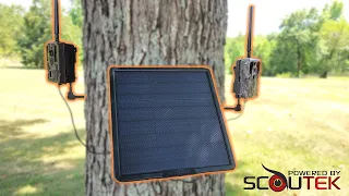 The Best Trail Camera Solar Panel on the Market?!?!