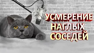 ПРОУЧИЛ НАГЛЫХ СОСЕДЕЙ. ИСТОРИИ ИЗ ЖИЗНИ.