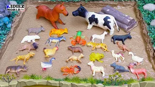 Plastic Toys Animals for Kids Stuck in the Mud Ground | Kids Videos for Kids with Rayan