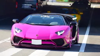 【富士】諸星一家 他 スーパーカー空吹かし 加速サウンド／Supercars sound in Japan. AventadorSV, LOUD 599GTB, CarreraGT, more❗️