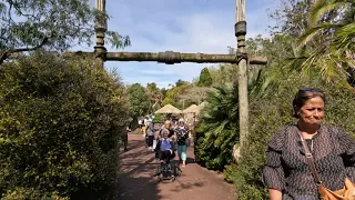WALKING TOUR: Auckland Zoo, New Zealand.