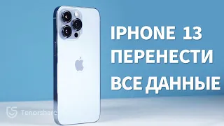 Как перенести данные со старого iPhone на новый iPhone 13/13 mini / 13 Pro / Pro Max (без ПК)