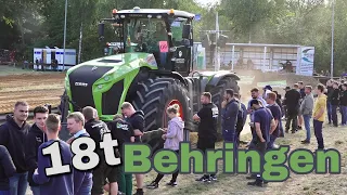 (ups) Xerion nicht vor Fendt Vario 18t Trecker Treck in Behringen