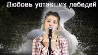 Елизавета Качурак - «Любовь уставших лебедей» (cover Лара Фабиан)