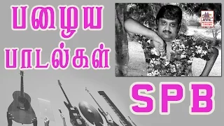 MSV SPB 50 Super Hit Songs | எஸ்.பி.பாலசுரமணியம் பாடிய கேட்க கேட்க திகட்டாத பழைய பாடல்கள்