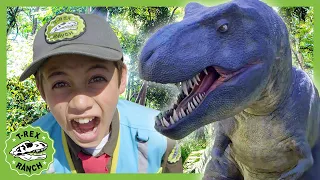 Park Rangers Search for the BIGGEST Animal Ever! T-Rex Ranch Dinosaur Videos