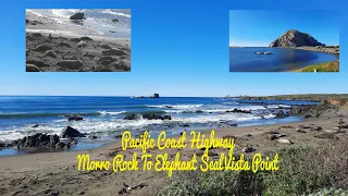 CALIFORNIA-Pacific Coast Highway (Morro Rock To Elephant Seal Vista Point, near San Simeon)