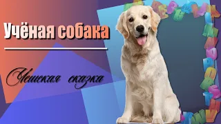 УЧЁНАЯ СОБАКА.  Чешская народная сказка. Аудиокнига