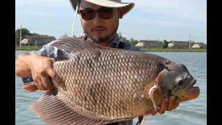 CATCHING UNIQUE THAI FISH | Catch and Cook Thai Style Tilapia