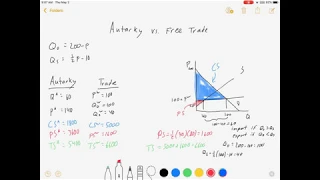 Trade Part 1: Free Trade vs. Autarky / Intermediate Microeconomics, No Calculus