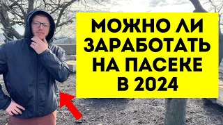 Можно ли заработать на меде в 2024 году