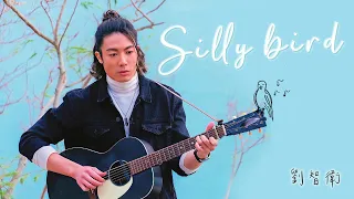 Sam Lau 劉智衛《Sillybird》 (Official Music Video)