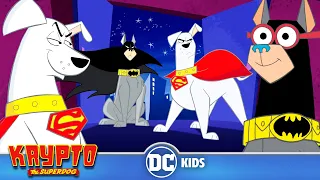 Krypto The Superdog em Português 🇧🇷 | Os Melhores Momentos de Krypto e Batcão |  DC Kids