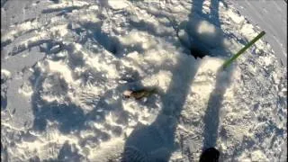 Gopro Québec  ice fishing