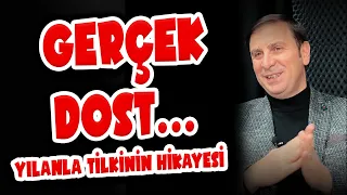 Gerçek Dost (Yılan ile Tilkinin Hikayesi)