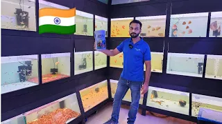 New Indian Fish Food by Aqua Nature