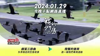 直播放映室【今晚十點 🔴LIVE】2024.01.29 公視我們的島第1241集播出