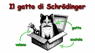 Il gatto di Schrödinger: una semplice introduzione alle stranezze del mondo quantistico.