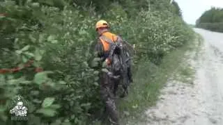 Bear hunting at Northern Wilderness Bear Outfitters Ontario