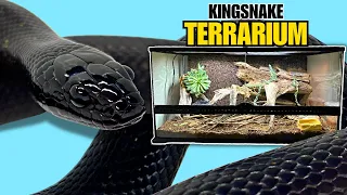 UPGRADING MY MEXICAN BLACK KINGSNAKE INTO BIG TERRARIUM + Exo Terra Moisture Retaining Ceramic Caves